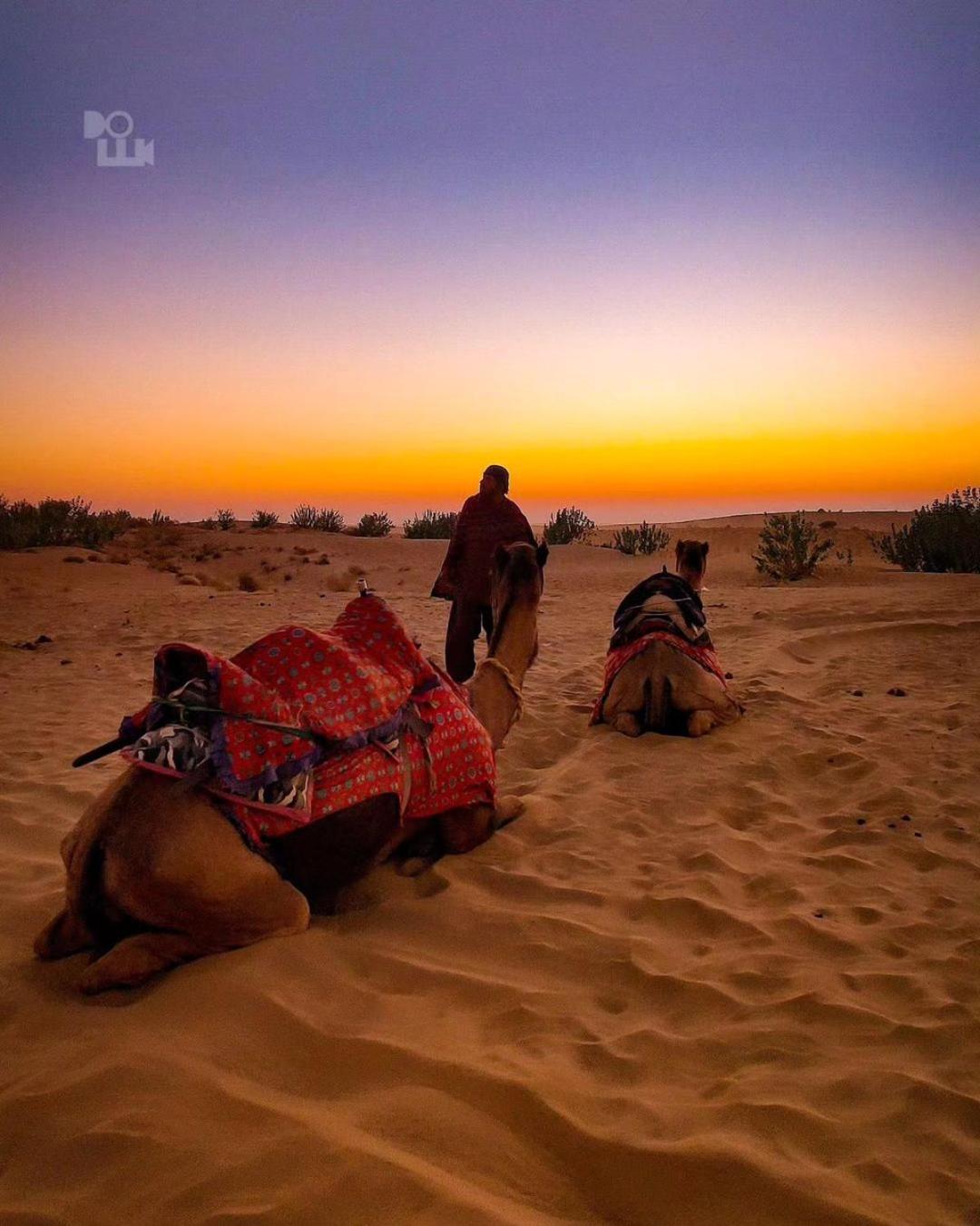 Mirvana Guest House & Camel Safari Джайсалмер Екстер'єр фото